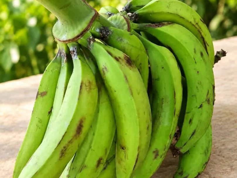 Unripe Plantain