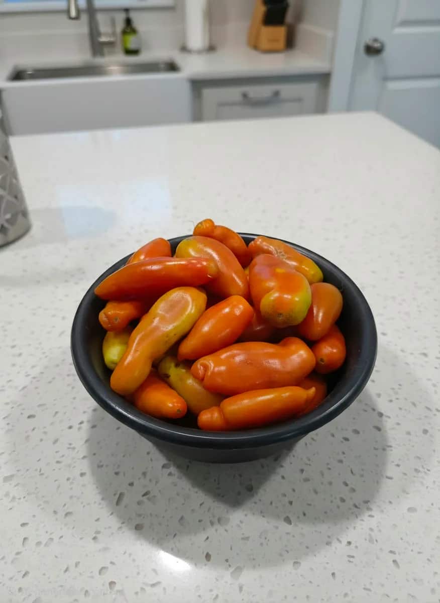 Fresh Tomatoes
