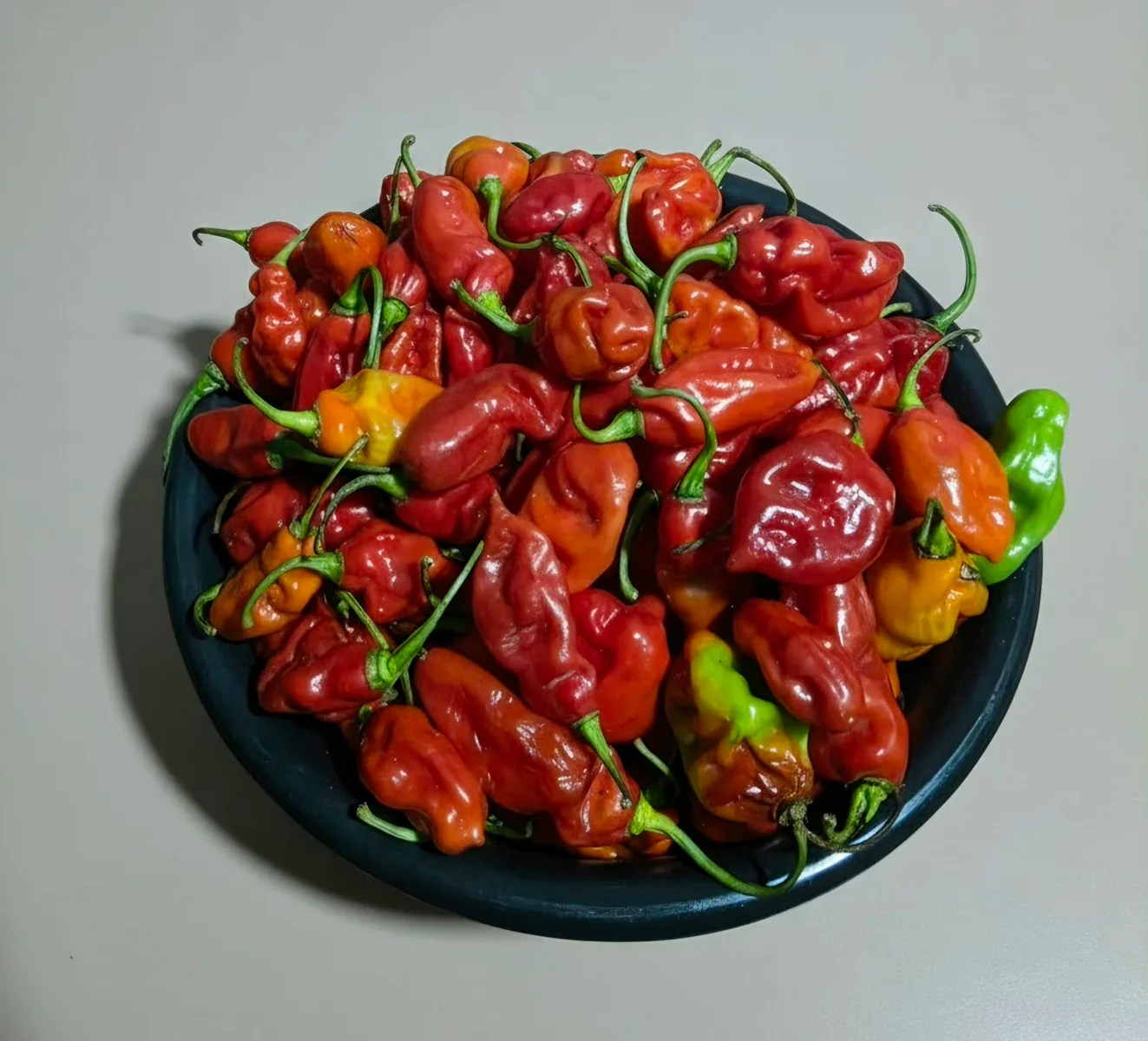 Fresh Rodo Pepper