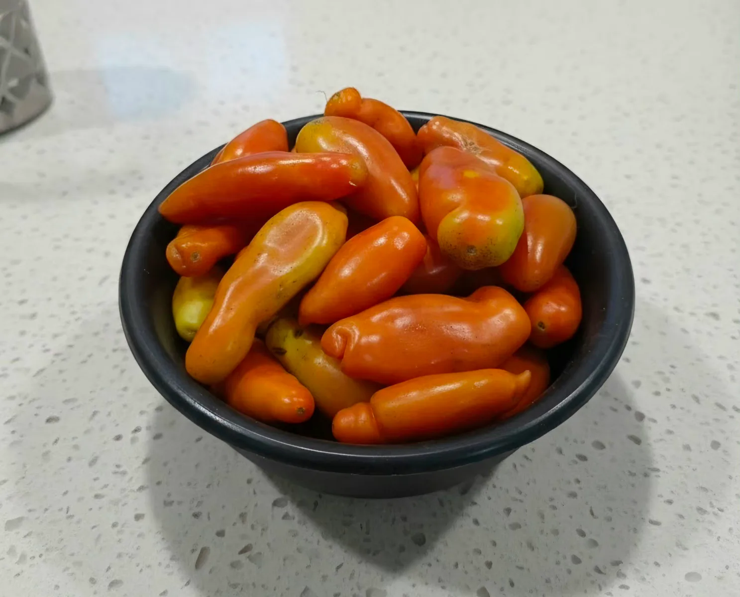 Fresh Tomatoes