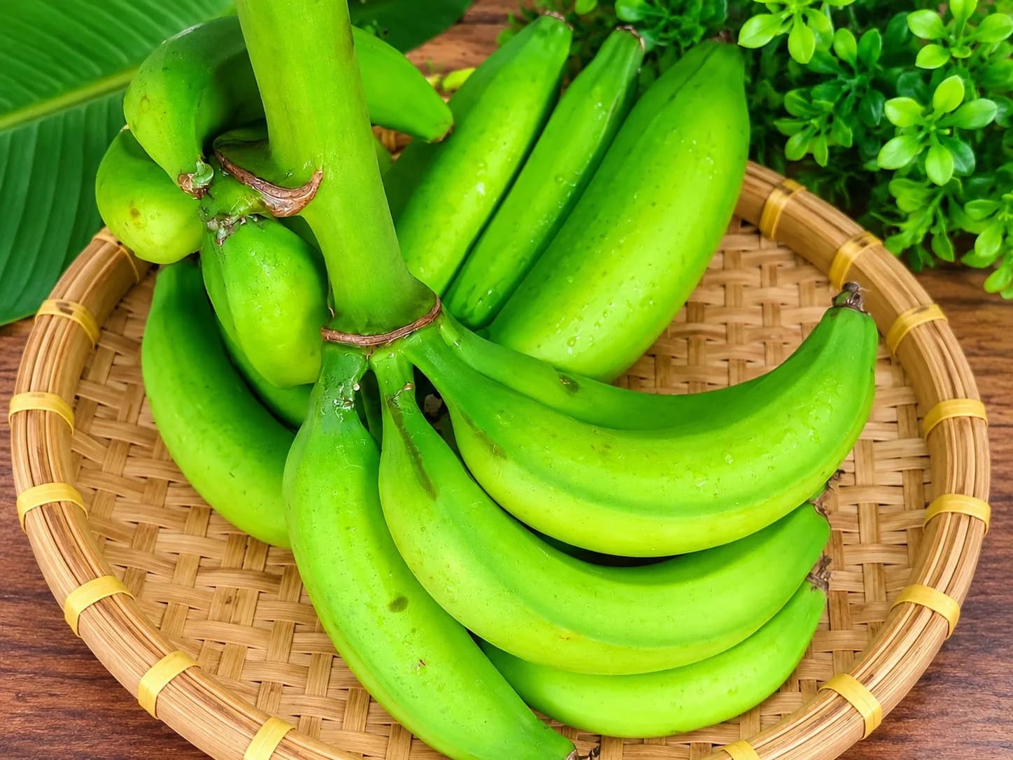 Plantain