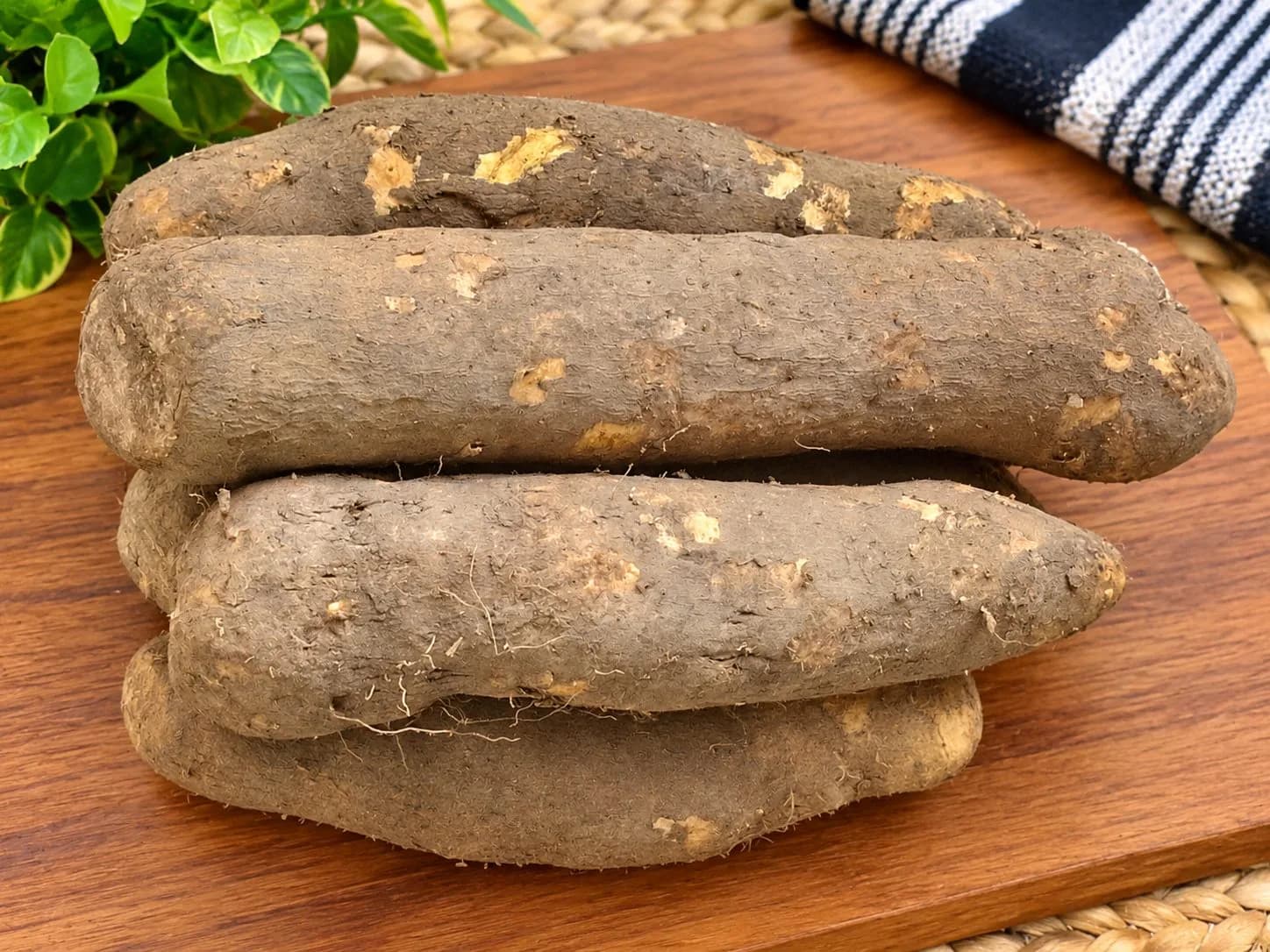 Yam