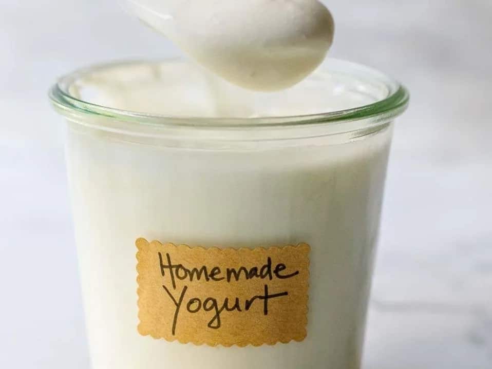 Fresh homemade yogurt