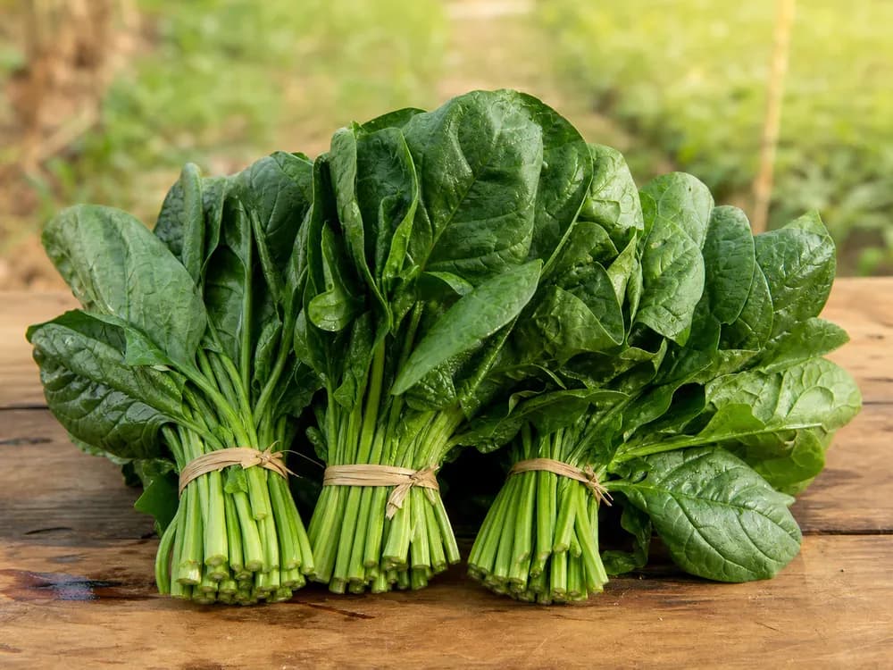 Produce from Green Basket Farms