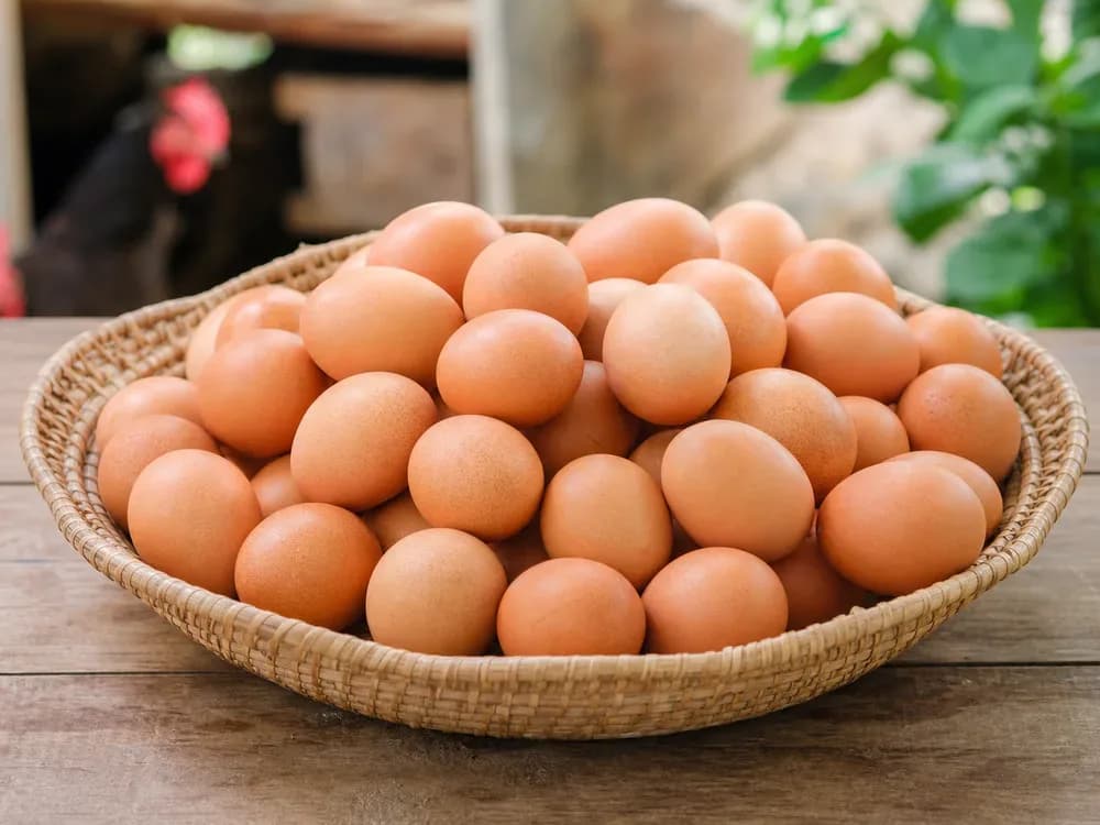Produce from Dutse Poultry Hub