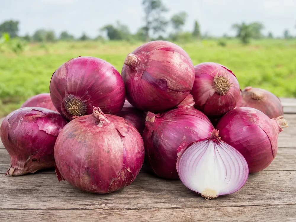 Produce from Suleiman Produce