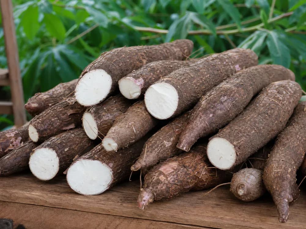 Produce from Unity Root Crops