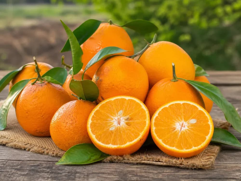 Produce from Nasarawa Citrus Farm
